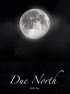 Постер «Due North»