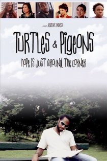 «Turtles & Pigeons»