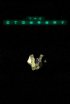Постер «The Stowaway»