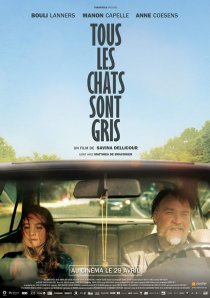 «Tous les chats sont gris»