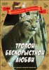 Постер «Тропой бескорыстной любви»