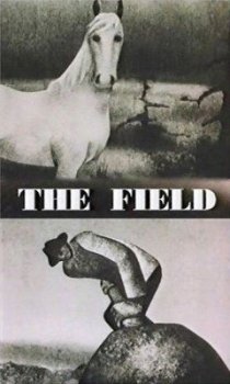 «Поле»