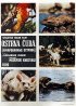 Постер «Зачарованные острова»