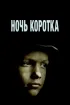 Постер «Ночь коротка»