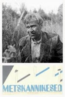 «Лесные фиалки»