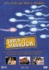 Постер «Irren ist männlich»