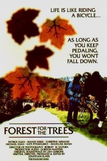 «Forest for the Trees»
