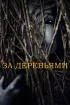 Постер «За деревьями»