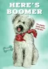 Постер «Here's Boomer»