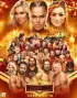 Постер «WWE Рестлмания 35»