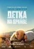 Постер «Детка на драйве»