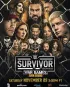 Постер «WWE Survivor Series WarGames»