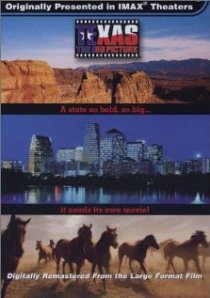 «Texas: The Big Picture»