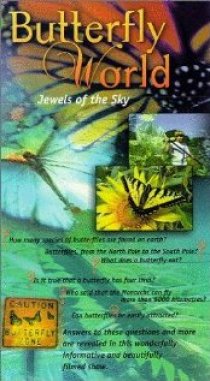 «Butterfly World»
