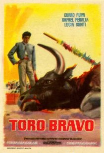 «Toro bravo»