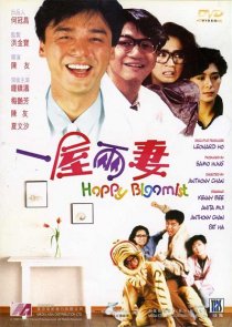 «Счастливый двоеженец»