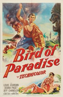 «Bird of Paradise»