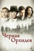Постер «Черная орхидея»