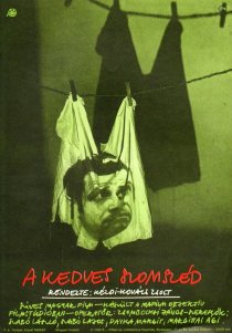 «Дорогой сосед»
