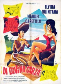 «La divina garza»