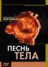 Постер «Песня тела»