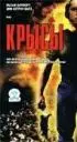 Постер «Крысы»