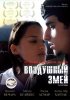 Постер «Воздушный змей»