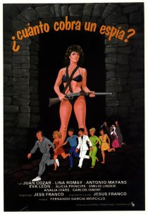 «Сколько получает шпион?»
