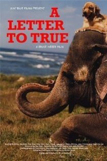 «A Letter to True»