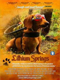 «Lithium Springs»