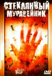 «Стеклянный муравейник»