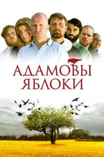 «Адамовы яблоки»