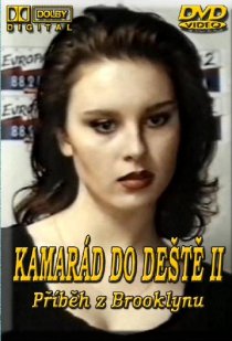«Друг в непогоду 2 – Бруклинская история»