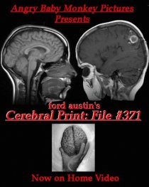 «Cerebral Print: File #371»