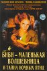 Постер «Биби – маленькая волшебница и тайна ночных птиц»