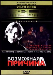«Возможная причина»