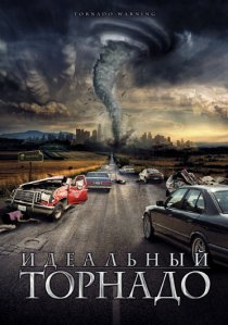 «Идеальный торнадо»
