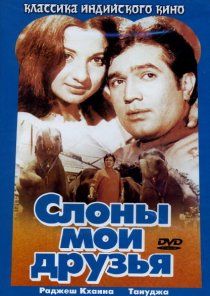 «Слоны – мои друзья»