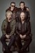 Фотография «The Boomtown Rats»