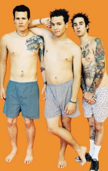 Фотография «Blink 182»