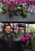 Фотография «Тим Шубель»