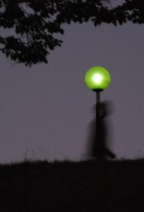 Фотография «Конор Фергюсон»