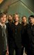 Фотография «Switchfoot»