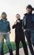 Фотография «The Fratellis»