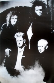 Фотография «Dead or Alive»