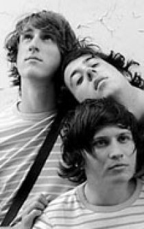 Фотография «The Wombats»