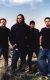 Фотография «Seether»
