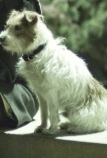 Фотография «Космо»