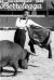 Фотография «Херб Элперт»