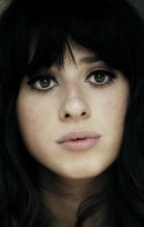 Фотография «Foxes»